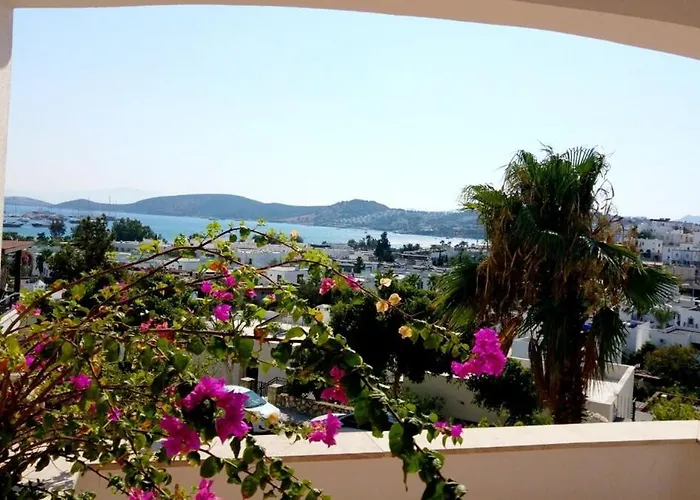 Center Sea View