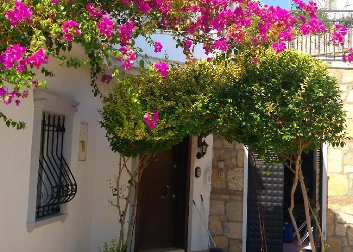 Center Sea View Βίλα *