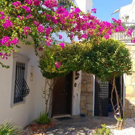 Center Sea View Вилла *