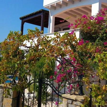 Center Sea View Vila *