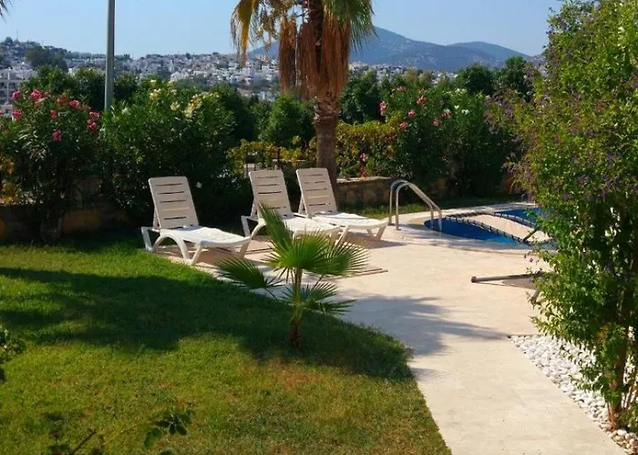 Center Sea View Vila *