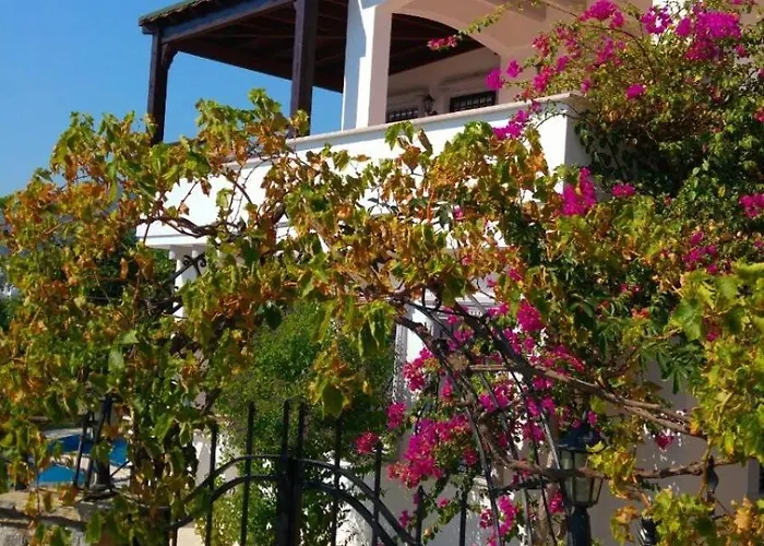 Center Sea View Vila *